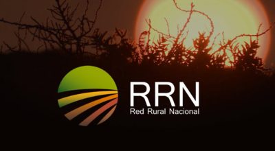 maxresdefault-400×220