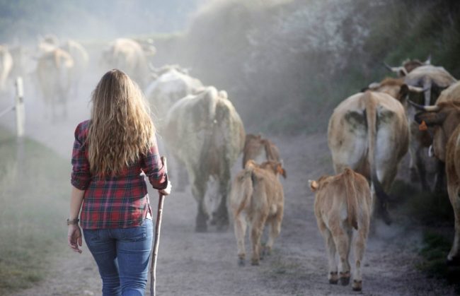 España no es un país para jóvenes