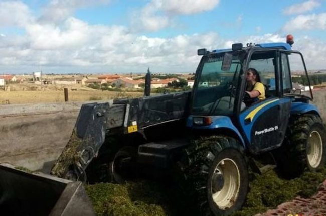 Programa de Desarrollo Rural de Castilla y León