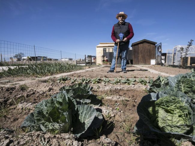 Programa de Desarrollo Rural ha generado tres mil empleos en Aragón