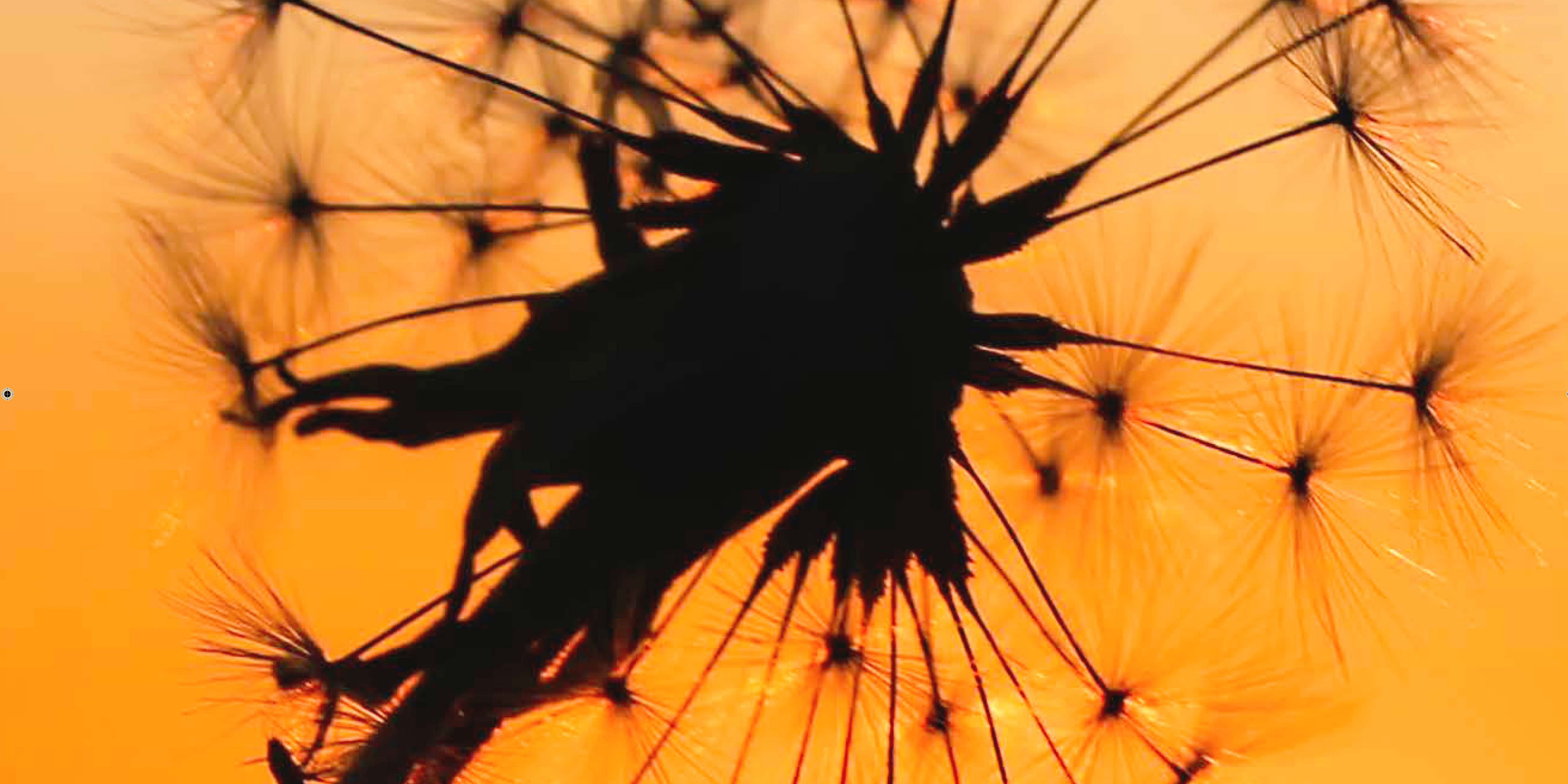 seminario-situacion-actual-leader