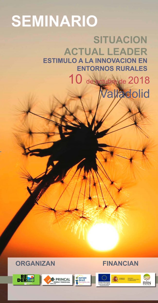 seminario-situacion-actual-leader