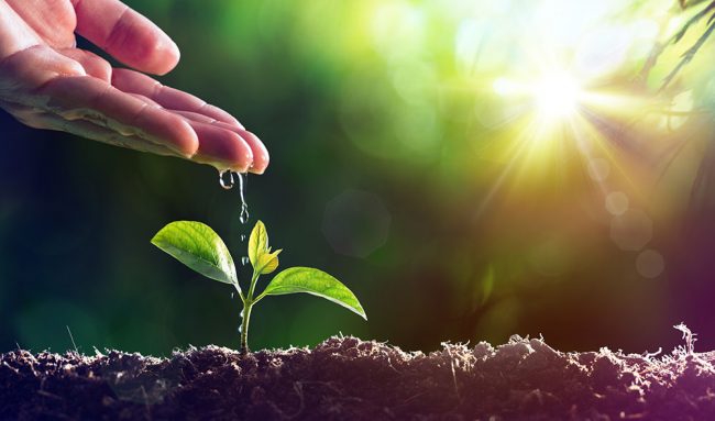 Bayer_Dia-Mundial-del-Medio-Ambiente