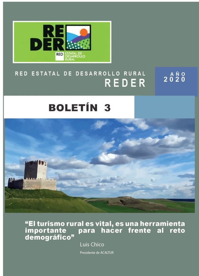 boletin3_REDER