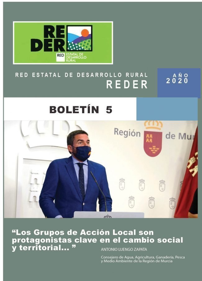 BOLETIN 5 REDER