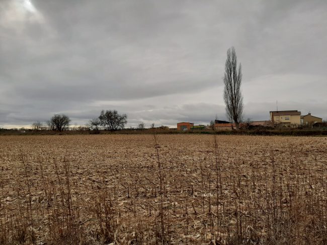 20201213_135508