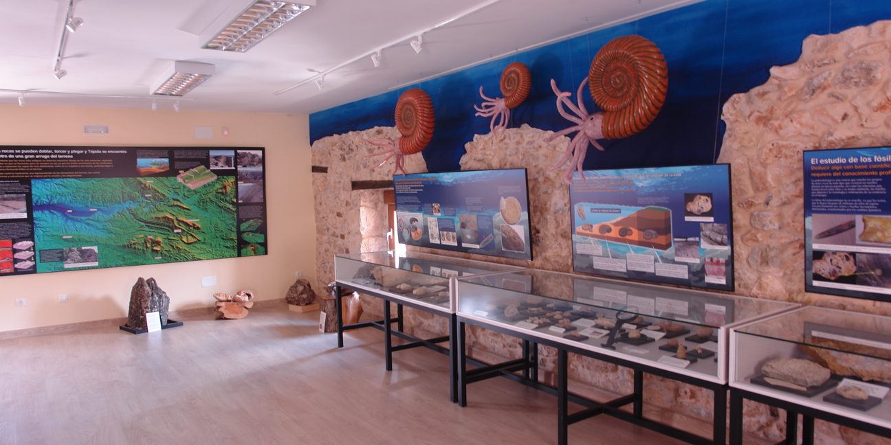 20210203+Museos+Vivos+(3)