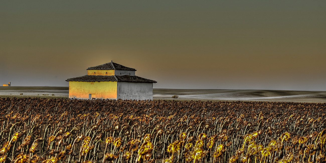 31791072774_5f9b4b8ece_o