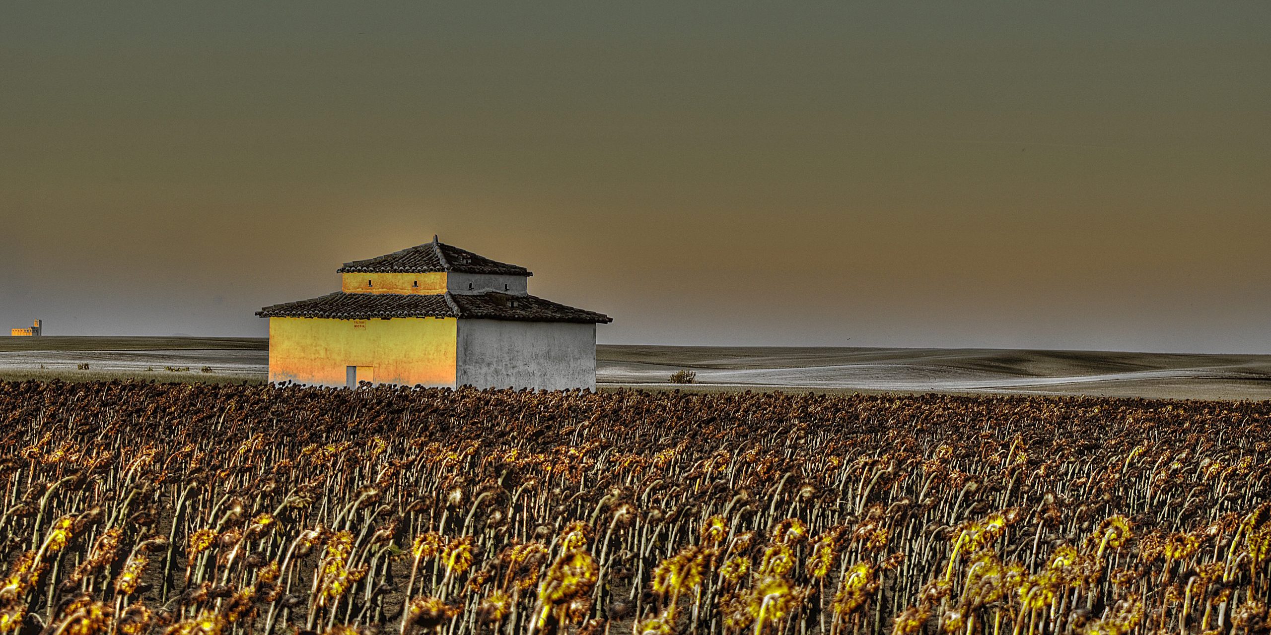 31791072774_5f9b4b8ece_o