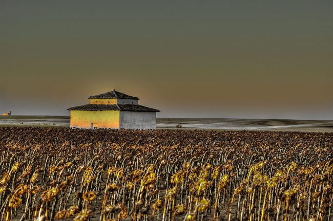 31791072774_5f9b4b8ece_o