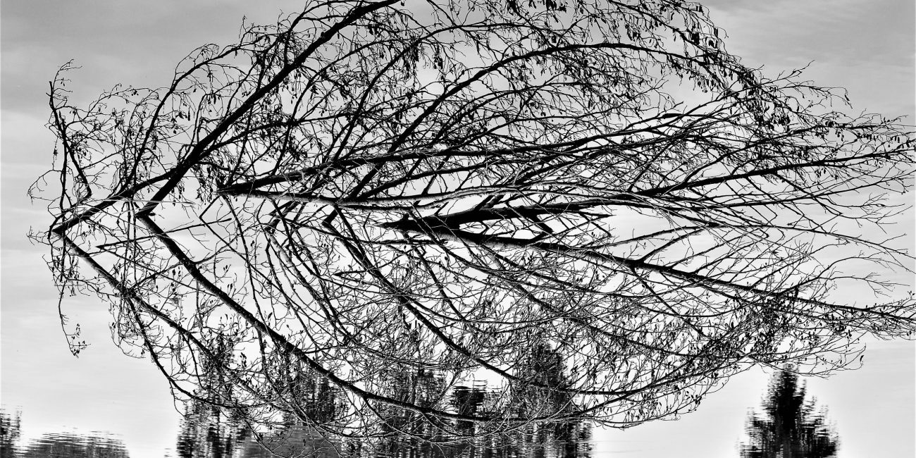 36422272965_d7bce8a26e_o