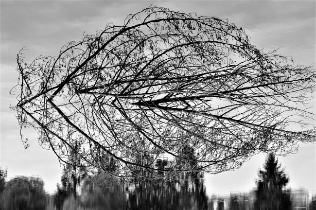 36422272965_d7bce8a26e_o