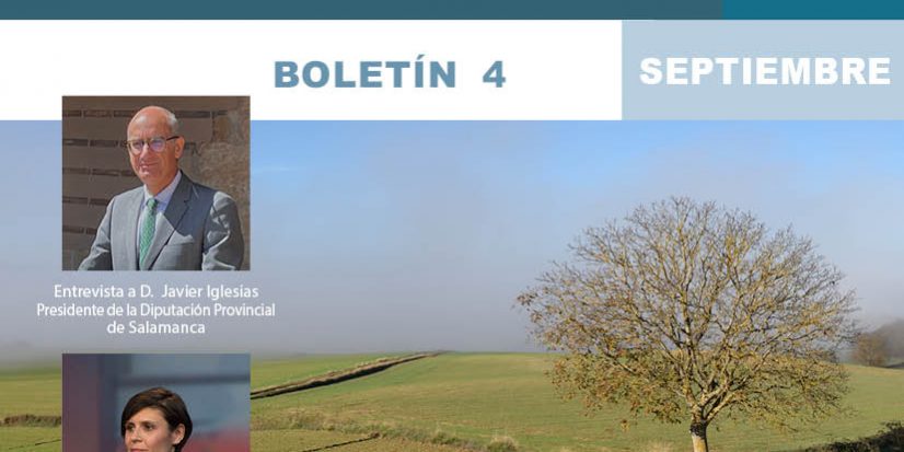 portadaboletin4REDER_low