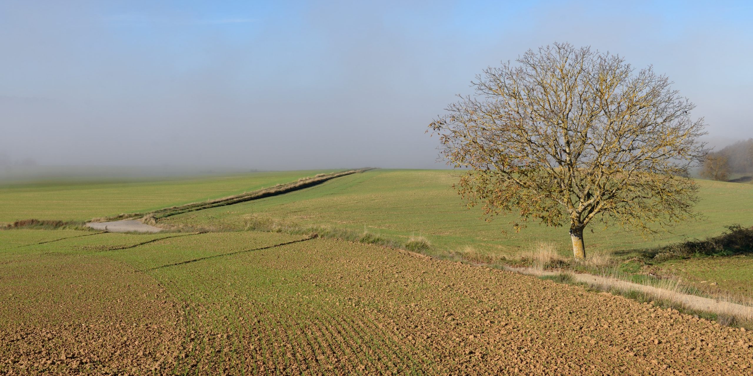 51093755812_8ccd6de3ea_o