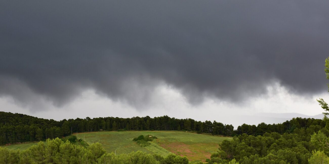 49980811827_45e4a1f13c_o