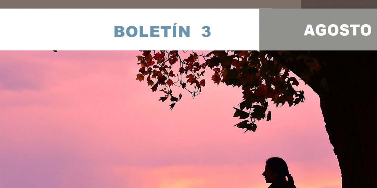 portadaboletin3REDER_webok