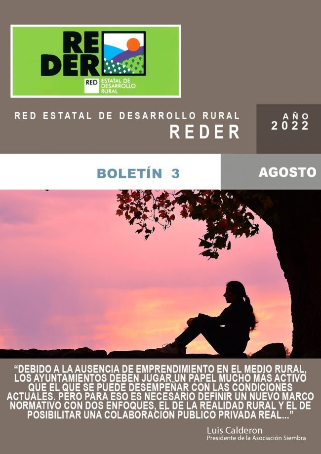 portadaboletin3REDER_webok