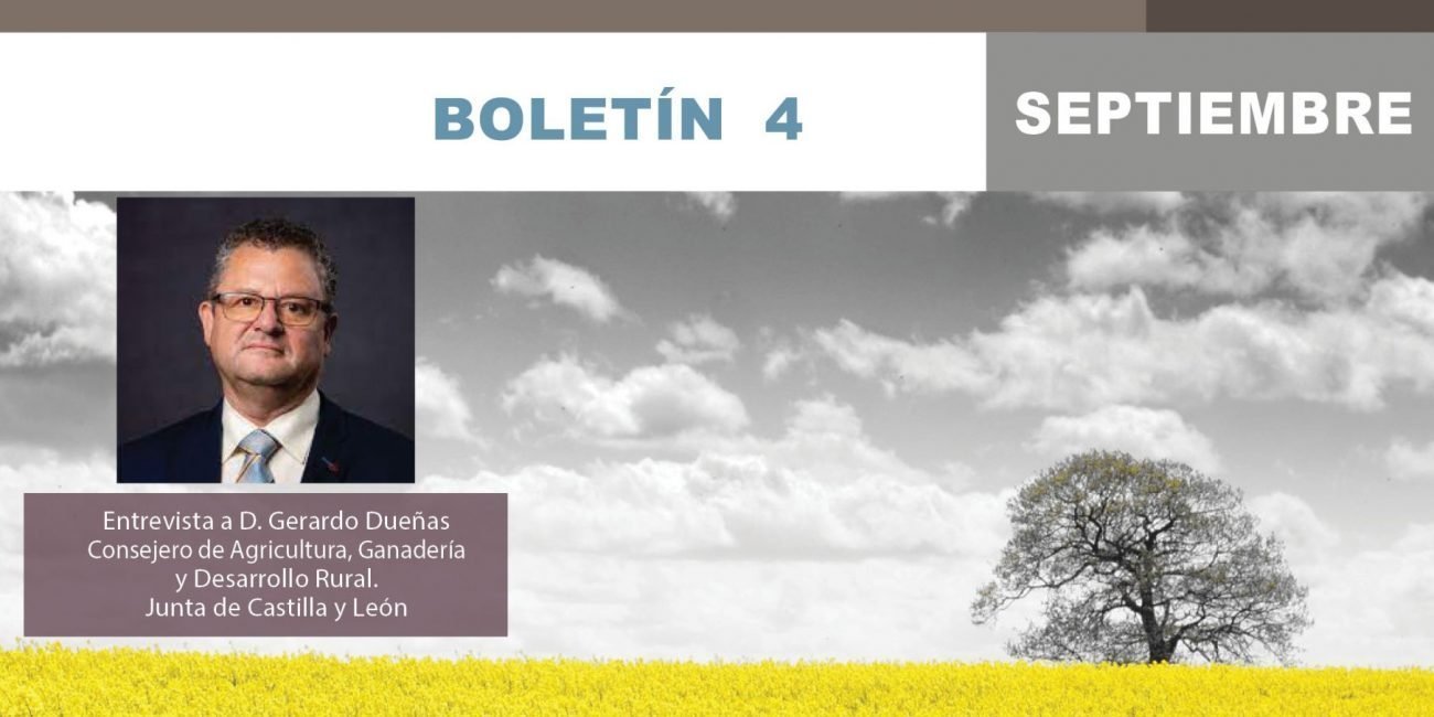 boletin4REDER_web