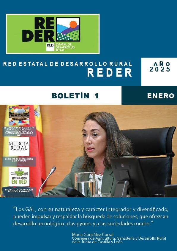 portadaboletin1web2025web